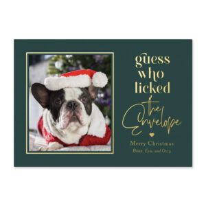 Helpful Pet Editable Color Holiday Photo Cards