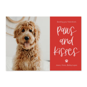 Paws Kisses Valentine's Day Photo Card