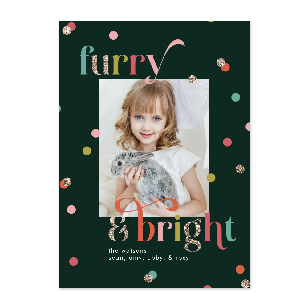 Bright and Furry Family Pet Holiday Photo Card