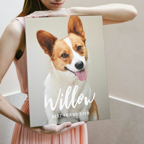 Beloved Name Pet Photo Personalized Canvas